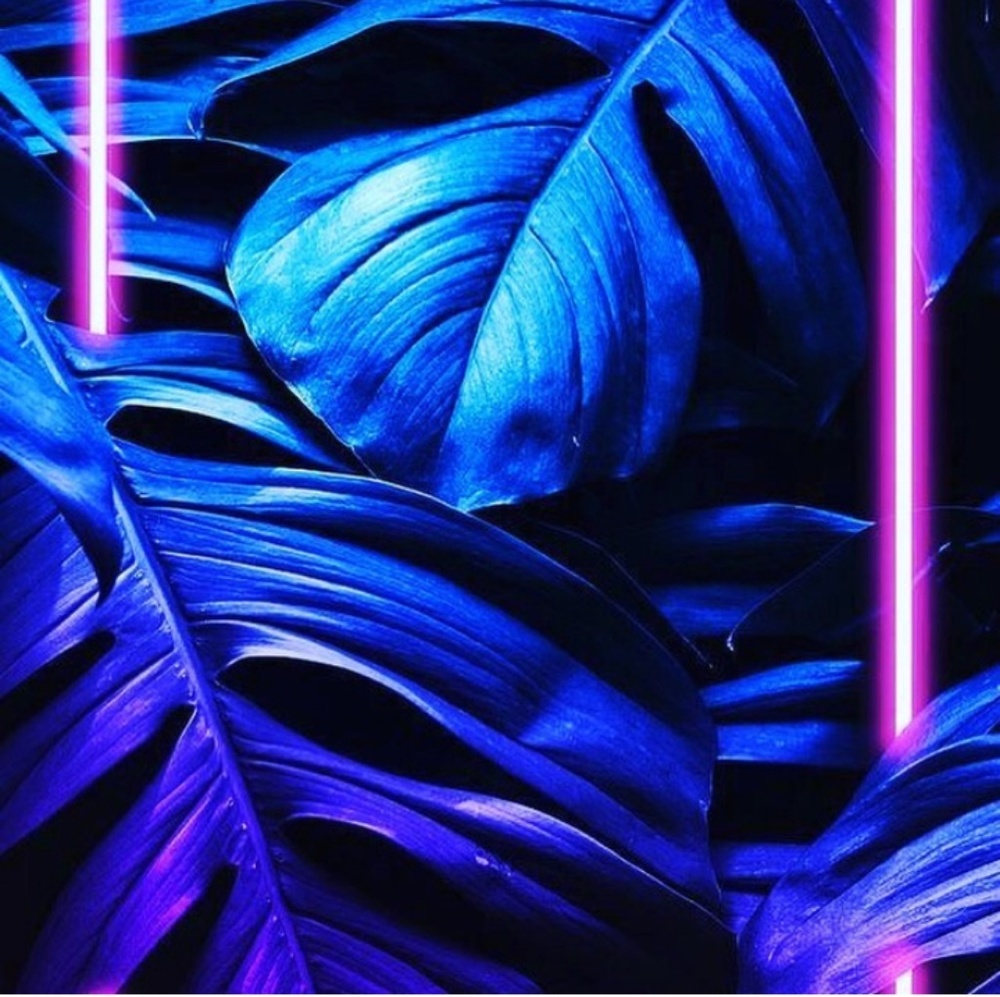 Meet your Posher, Candace